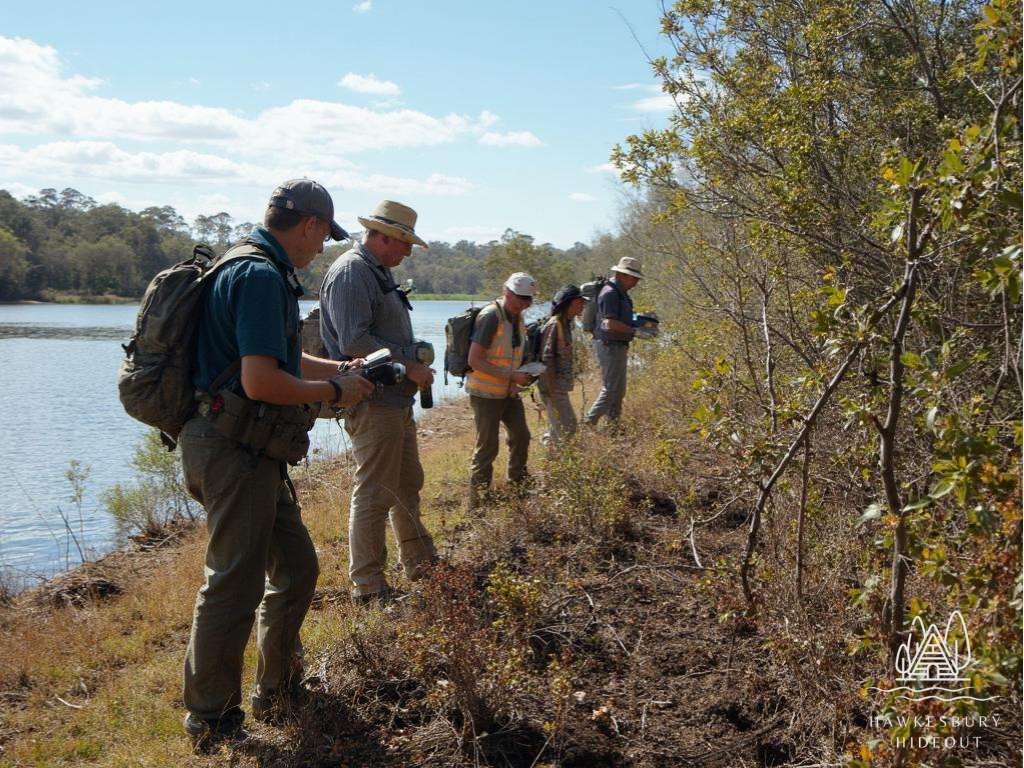 Hawkesbury River Birdwatching Guide (23)