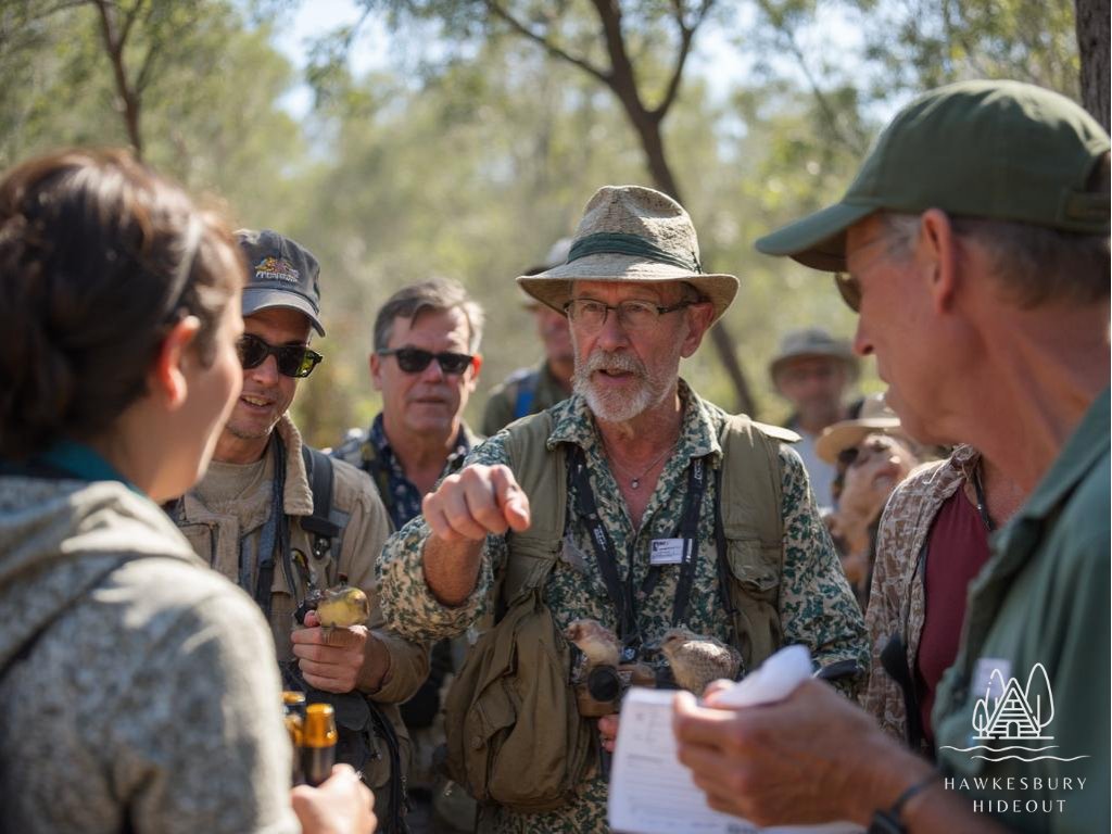 Hawkesbury River Birdwatching Guide (7)