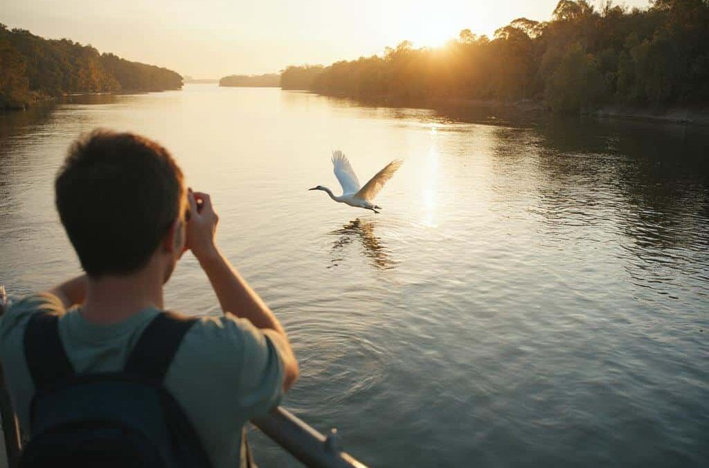 Hawkesbury River Birdwatching Spots: 3 Amazing Birdwatching Sites