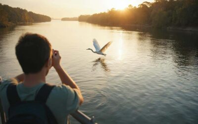 Hawkesbury River Birdwatching Spots: 3 Amazing Birdwatching Sites