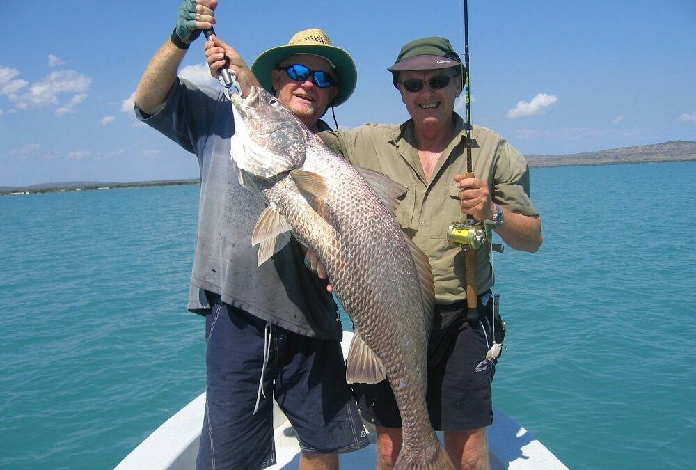 Mulloway Jewfish - Hawkesbury River Fish Species (2)