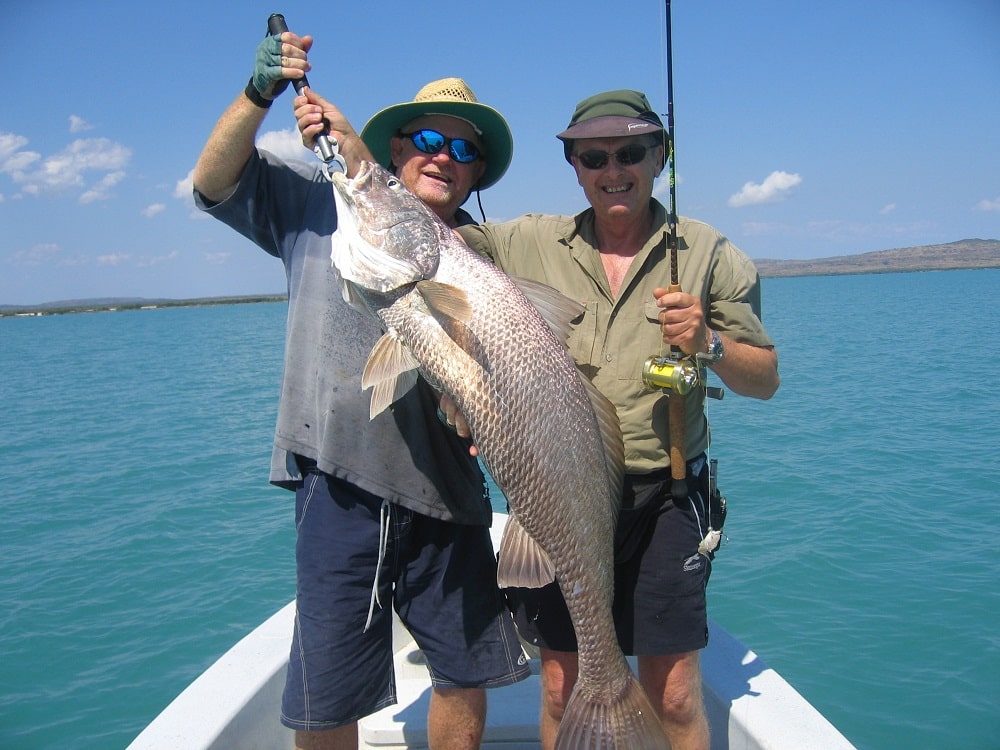 Mulloway Jewfish - Hawkesbury River Fish Species (2)