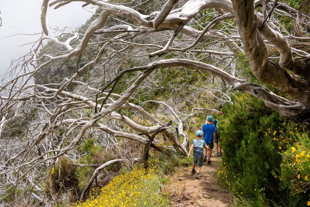 Top Activities Hawkesbury River - Bushwalk Hike